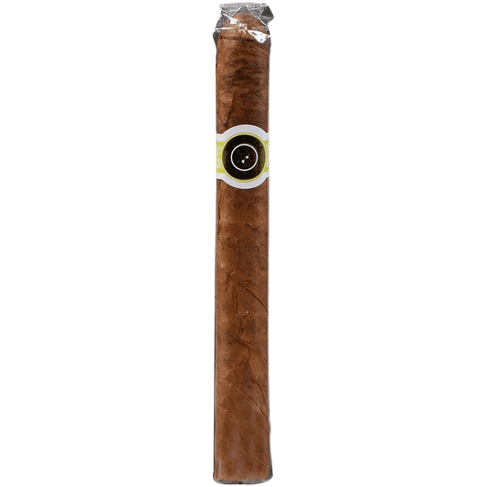 MACANUDO CAFE ASCOTS 10/10 TINS 4.19X32
