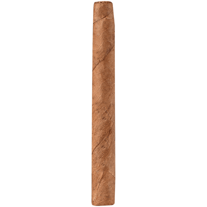 HOYO EXCALIBUR MINIATURE 10/20 TINS 3.00X22