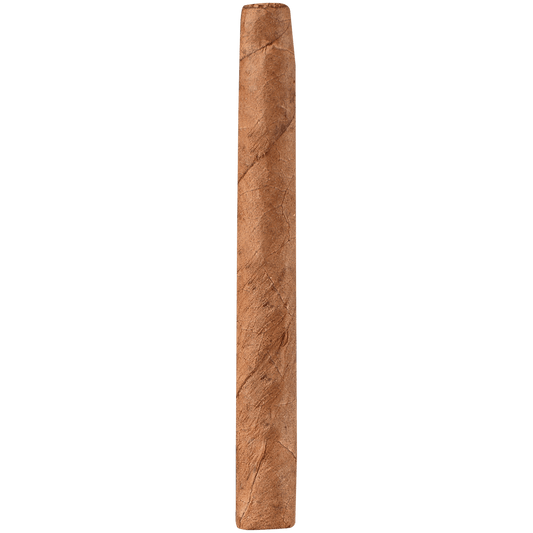 HOYO EXCALIBUR MINIATURE 10/20 TINS 3.00X22