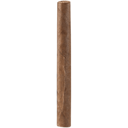 MONTECRISTO WHITE MINI 5/20 CT TINS