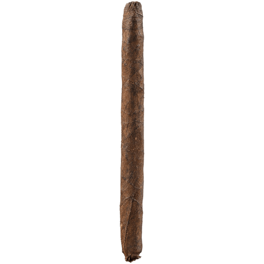 DEADWOOD CRAZY ALICE C-NOTES 100CT BOX 3.75X22